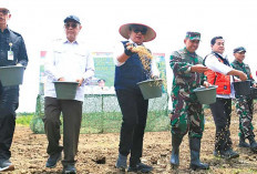 Herman Deru Dorong Petani Banyuasin Percepat Masa Tanam 