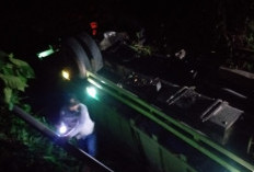 Truk Bermuatan Batu Bara Terguling, Sopir Tewas Ditempat