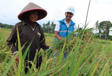 PLN UID S2JB Raih Platinum Nusantara CSR Awards 2026, Electrifying Agriculture Dorong Ketahanan Pangan