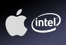 Trump Klaim Apple Gandeng Intel Produksi Chip di AS, Saham Intel Langsung Melonjak