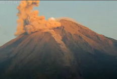 Gunung Semeru Kembali Erupsi 