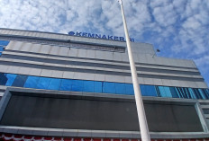 Program Magang Fresh Graduate di Pemerintah Wajib Transparan