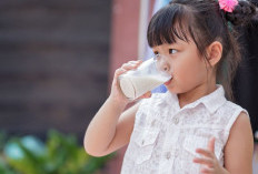 Manfaat Minum Susu bagi Tubuh, Apa Saja?