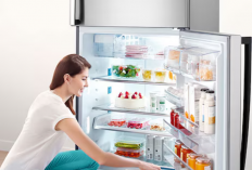 Kulkas Paling Worth It untuk Rumah Baru 2025 Ini 4 Pilihan yang Lagi Jadi Favorit