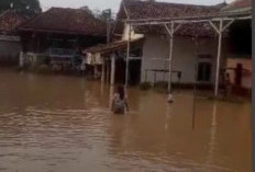 Air Sungai Komering Meluap, Rumah Warga Kebanjiran