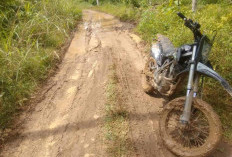 Jalan Menuju SDN Sidodadi Berkubang dan Berlumpur