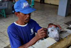 11 Cara Membersihkan Kepala Kambing Agar Tidak Bau 