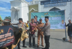 Polres OKU Timur Sembelih 7 Sapi dan 6 Kambing Kurban