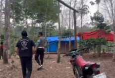 Penggerebekan Lokasi Judi Sabung Ayam Diduga Bocor, Arena Kosong