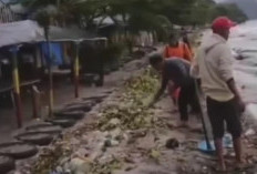Tingkatkan Kenyamanan Wisatawan, DLH OKU Selatan Sisir Sampah di Kawasan Danau Ranau