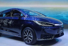 BYD M6 Mobil MPV Listrik Berkapasitas 7 Penumpang Cocok untuk yang Berkeluarga, Harga Rp 379 Jutaan