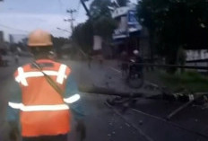 PLN Gerak Cepat Atasi Pemadaman Akiat Tiang Listrik Ditabrak Truk