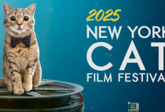 Festival Film Kucing New York 2025 Merayakan Kucing dalam Layar Lebar