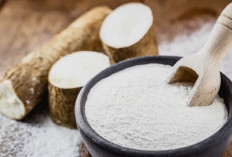 Mengenal Tepung Tapioka, Rahasia Tekstur Kenyal pada Banyak Masakan