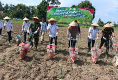 Polres OKU Timur Tanam Jagung Serentak Kuartal III, Targetkan 19 Ribu Hektare