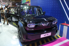 VinFast VF3, Mobil Listrik Kompak Murah Meriah Hadir di Indonesia