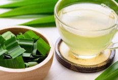 Rahasia Sehat dari Air Rebusan Daun Pandan