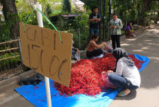 Cabai Merah Diobral Rp15.000 /Kg