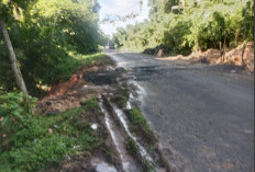 Sempat Lumpuh Total Akibat Putus, Jalan Penghubung Baturaja- Muaradua Kini Bisa Dilalui