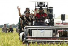 Sambut Baik Penetapan HPP Gabah Sebesar Rp6.500