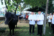 Pj Gubernur Sumsel Luncurkan Gerakan Kurban Serentak