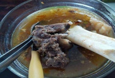 Manfaat Sumsum Tulang Sapi untuk Kesehatan Tubuh