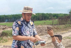 Enos Sukses Kembangkan 5000 Hektare Sawah Lewat Program Oplah