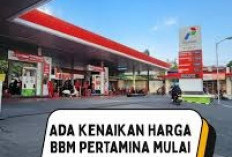 Kenaikan BBM di Indonesia: Dampak Ekonomi dan Respons Masyarakat