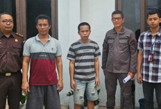 Penjual Bibit Tanpa Izin Dilimpahkan