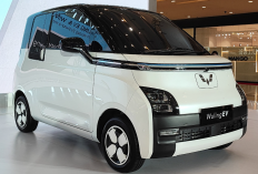 Harga Bekas Wuling Air EV September 2025 Anjlok Sampai 70%, Bisa Dapat Rp 70 Jutaan Aja!