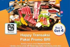 Happy Transaksi Pakai Promo BRI 