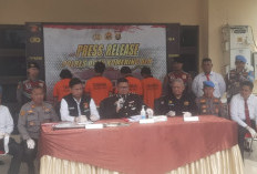 Ringkus Komplotan Pencuri Sawit