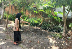 Begal Keji Makin Nekat, Rampas Motor dan Aniaya Wanita Muda