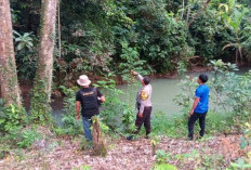 Sulit Terjangkau, Titik Api Karhutla Terpantau di OKU