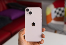 iPhone 13 Turun Harga Drastis di Akhir Juli 2025, Sekarang Bisa Dibeli Mulai Rp7,7 Juta