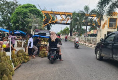 Pedagang Durian Banjiri Kota Martapura, Datangkan dari OKU hingga Muara Enim