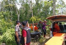 Pria Lansia di OKU Ditemukan Tak Bernyawa di Kebun Karet