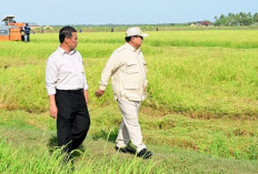 Prabowo Teken Aturan Soal Penghapusan Utang Macet UMKM, Petani, dan Nelayan