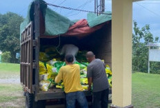 Jaga Stabilitas Harga, Polsek Lubuk Batang Salurkan 2 Ton Beras Murah 