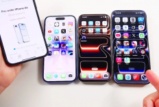 Jangan Salah Pilih! Ini Bedanya iPhone 17, Air, Pro, dan Pro Max