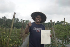 96 Persen Penertiban Tanah Telantar Dialokasikan untuk Reforma Agraria