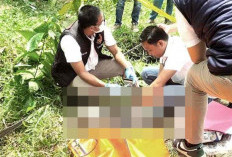 Mantan Honorer Sat Pol PP Musi Rawas Ditemukan Tak Bernyawa di Siring Tepi Sawah