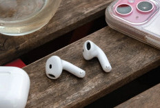 Apple Siapkan Fitur Terjemahan Langsung di AirPods, Rilis 2025