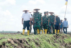 Tanam Padi Pakai Drone