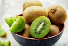 Manfaat Menakjubkan dari Buah Kiwi