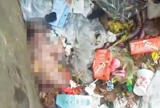 Tertimbun di Kotak Sampah Seorang Bayi Ditemukan