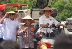 OKU Timur Kokohkan Status Lumbung Jagung Terbesar di Sumsel