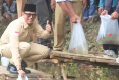 Perkuat Ketahanan Pangan, Sebar Puluhan Ribu Bibit Ikan
