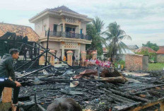 Bedeng dan Rumah Warga Ludes Terbakar