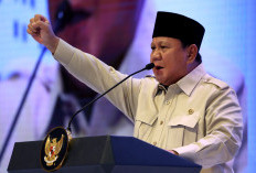 RI Miliki Cadangan Beras Tertinggi Sepanjang Sejarah